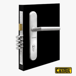 Ginebra 60 Puerta Principal Acero Inoxidable Ovalada